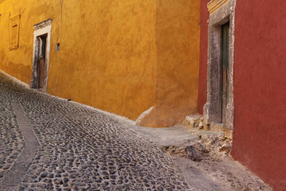 Mexico Painted buildings on cobblestone street